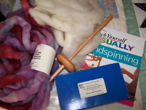 Supplies assembled for my first spinning attempt